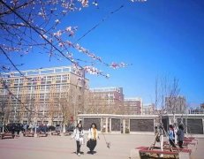 沧州师范学院专接本院校详情及专业介绍