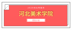 2020年河北美术学院专接本招生计划人数