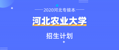 2020年河北农业大学专接本招生计划人数