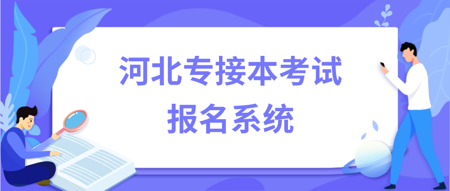 河北专接本考试报名系统