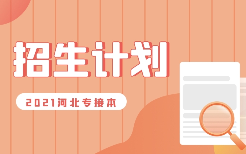 2021年河北专接本舞蹈编导/舞蹈表演/舞蹈 学/艺术教育（舞蹈）专业招生计划