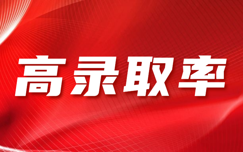 河北专接本录取率最高的专业有哪些？