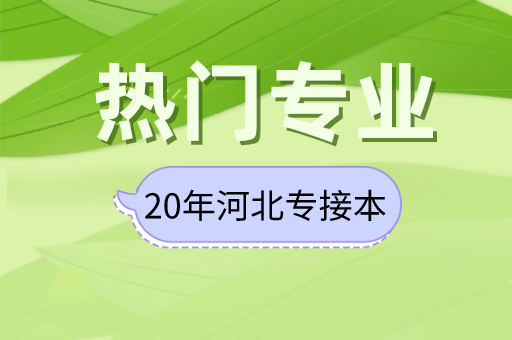 20年报名人数超过2000人的大专业