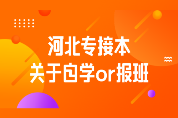 河北专接本关于自学or报班？