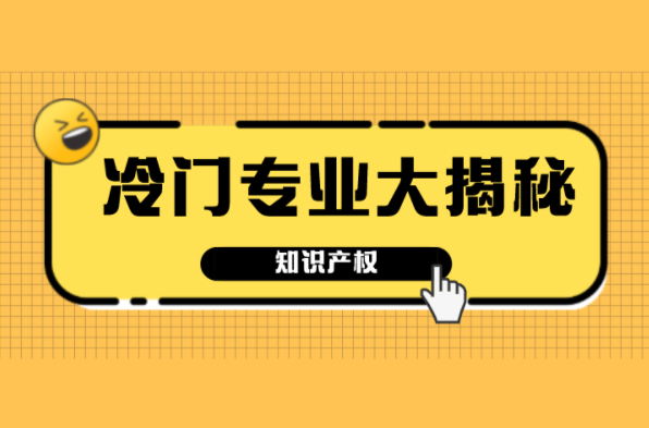 河北专接本十大冷门专业大揭秘之知识产权