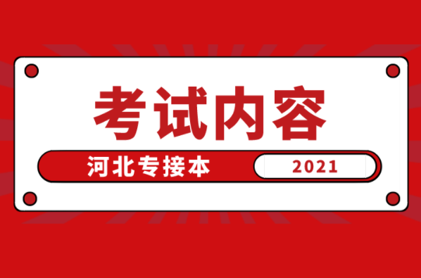 河北专接本电子商务及联考专业考试内容