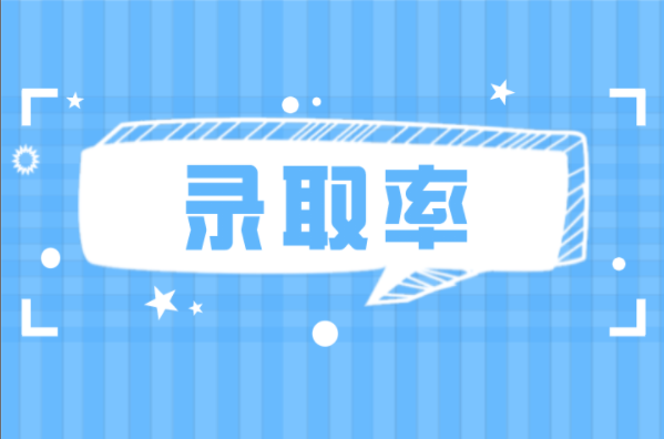 河北专接本小学教育专业录取率是多少？