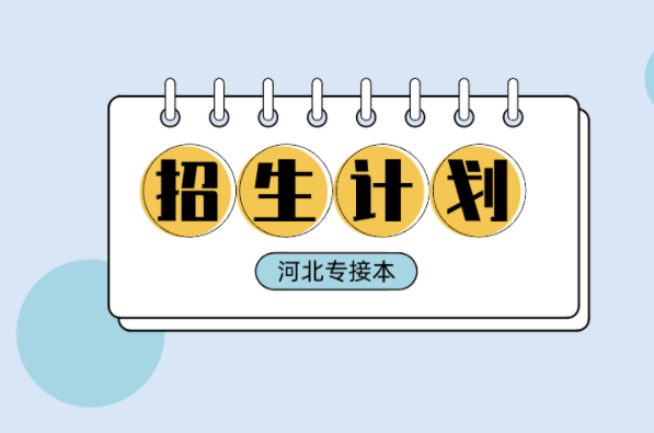 河北专接本汉语国际教育及联考专业招生计划