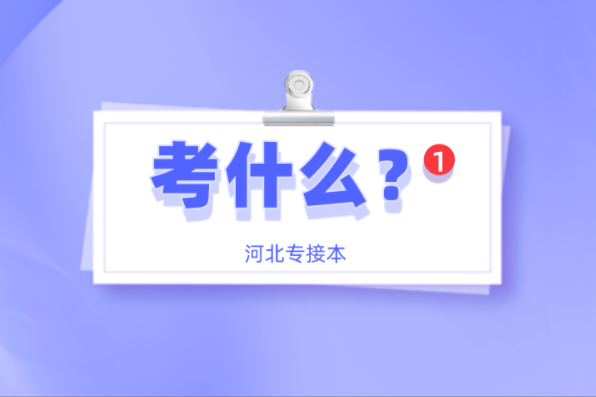 河北专接本广播电视学及联考专业考什么？