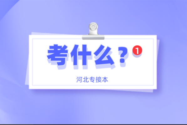 河北专接本法学专业考什么？