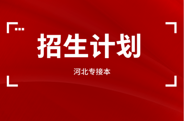 河北专接本英语及联考专业招生计划