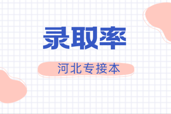 河北专接本德语专业录取率是多少？