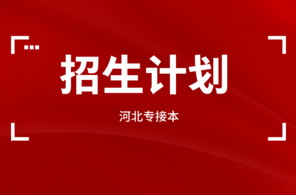 河北专接本阿拉伯语专业招生计划