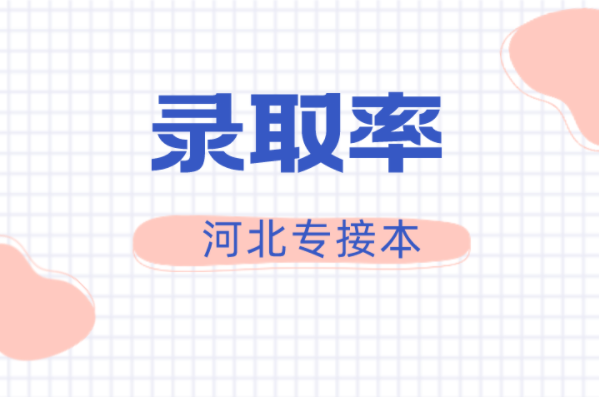 河北专接本阿拉伯语专业录取率是多少？