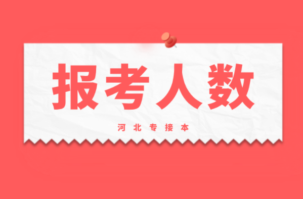 河北专接本国际经济与贸易专业报考人数有多少？