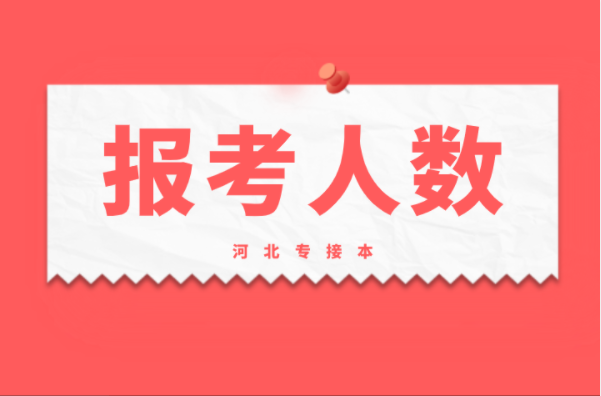 河北专接本金融工程及联考专业报考人数有多少？