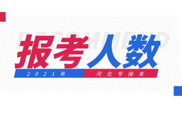 河北专接本工程管理及联考专业报考人数有多少？