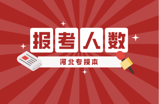 河北专接本电子商务及联考专业报考人数有多少？