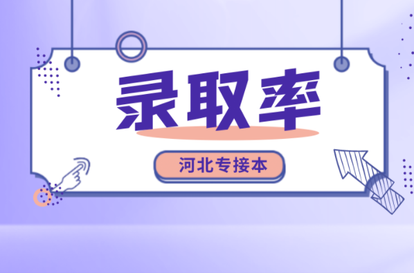 河北专接本冶金工程专业录取率是多少？