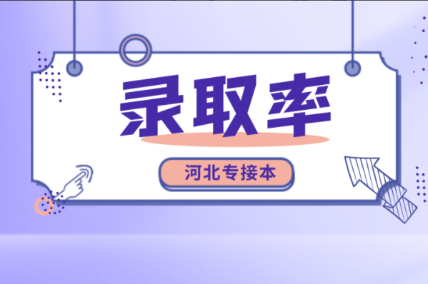 河北专接本数学与应用数学及联考专业录取率是多少？