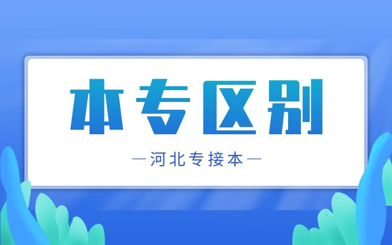 河北专接本本科和专业学历的差别是什么？