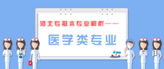 河北专接本中最适合接本的专业——医学类专业