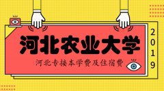 2019年河北农业大学专接本学费住宿费是多少？