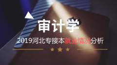 2019河北专接本审计学专业就业情况