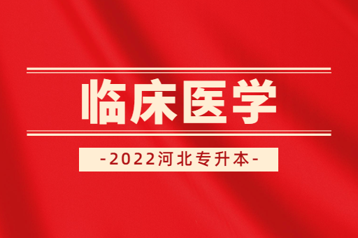 河北专接本临床医学专业课考什么？