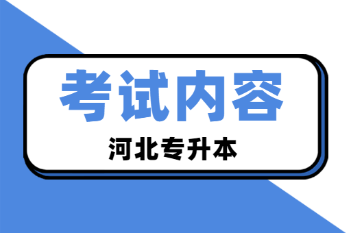 河北专升本英语不好怎么备考？