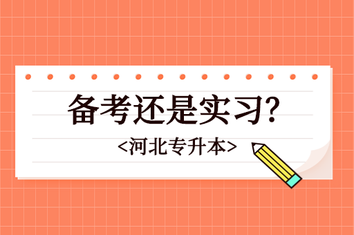 备考专升本还是去实习呢？